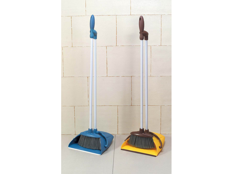 Dustpan with broom