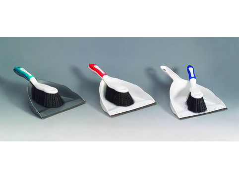 Dustpan with brush