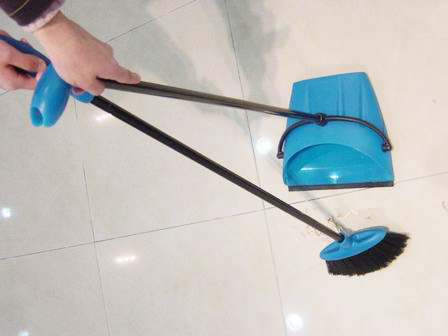 Dustpan with broom