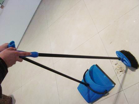 Dustpan with broom