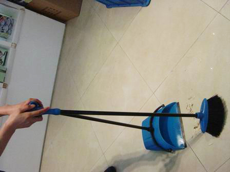 Dustpan with broom