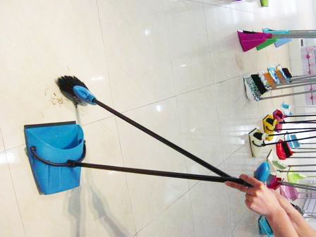 Dustpan with broom