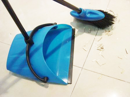 Dustpan with broom