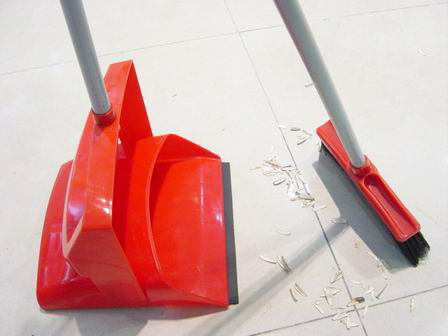 Dustpan with broom