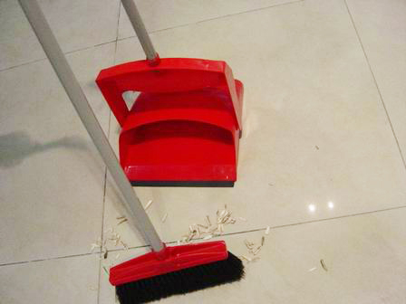 Dustpan with broom