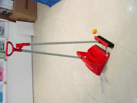 Dustpan with broom