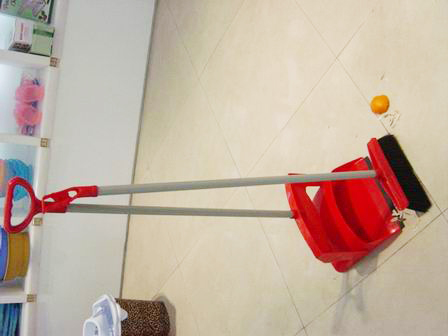 Dustpan with broom