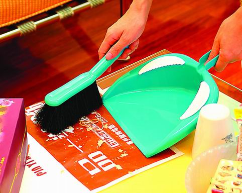 Dustpan with brush